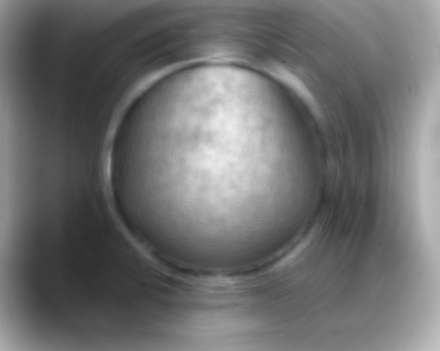 X0000088491424200706051410