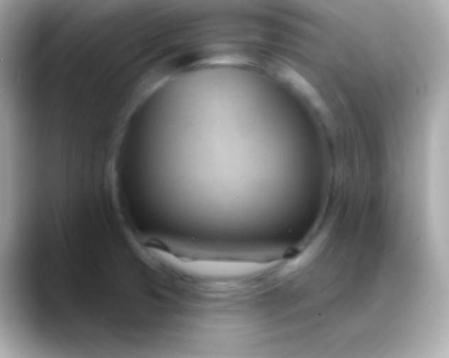 X0000088491425200706051410