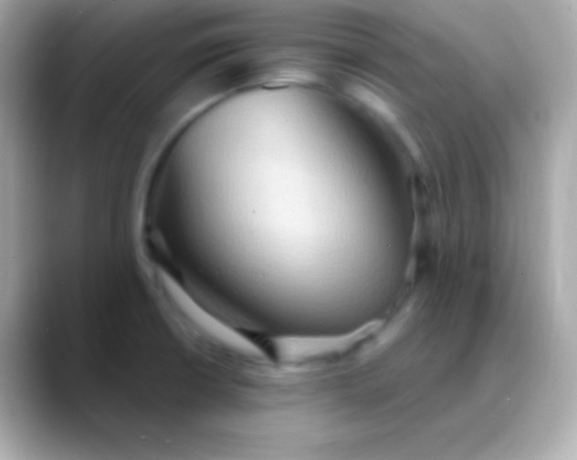 X0000088491426200706051410