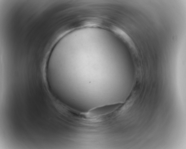 X0000088491427200706051410