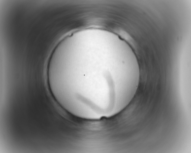 X0000088491431200706051410
