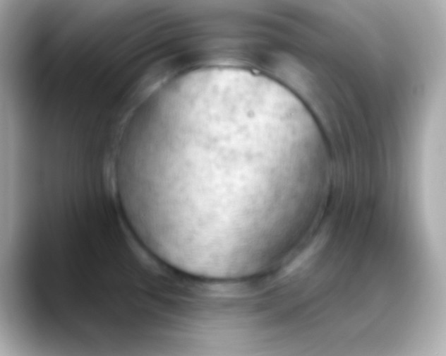 X0000088491433200706051410