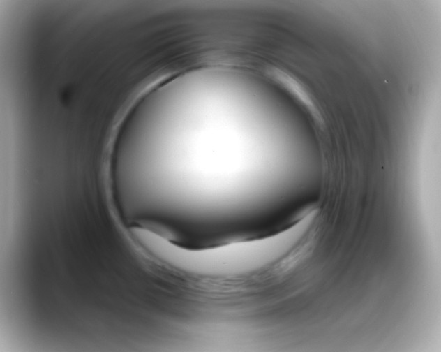 X0000088491434200706051410