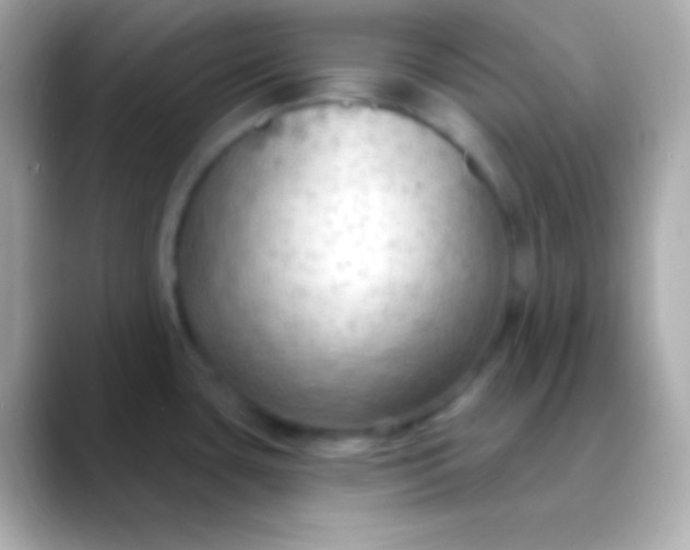 X0000088491435200706051410