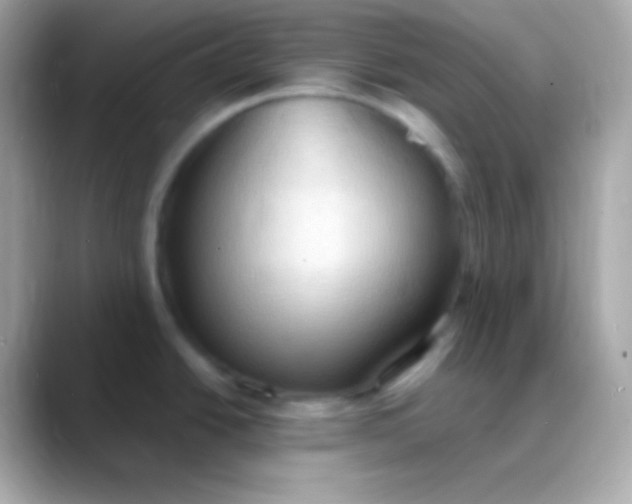 X0000088491438200706051410