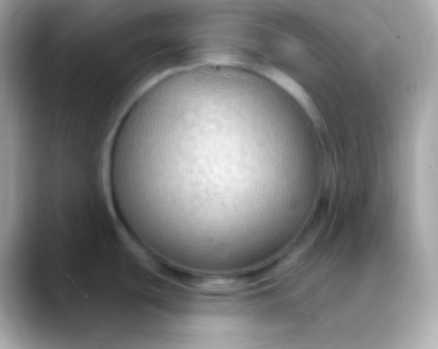 X0000088491439200706051410