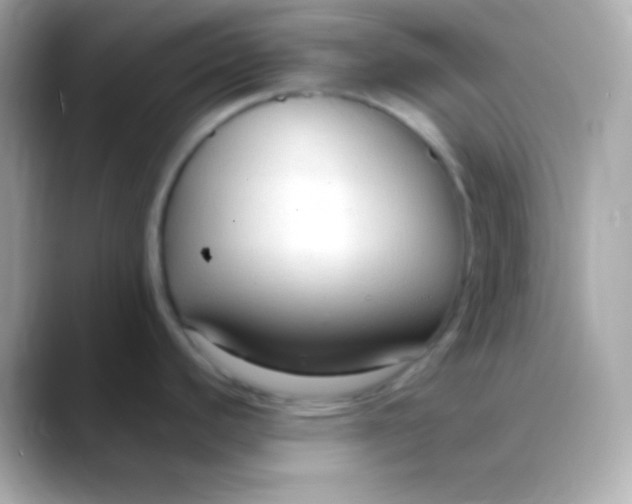 X0000088491440200706051410