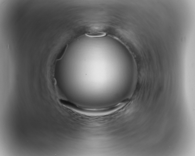 X0000088491441200706051410