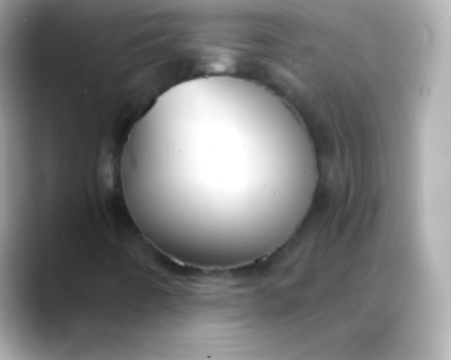 X0000088491442200706051410