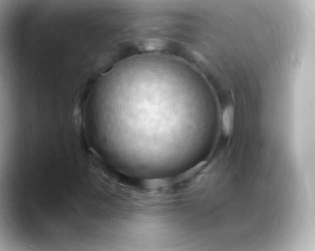 X0000088491443200706051410