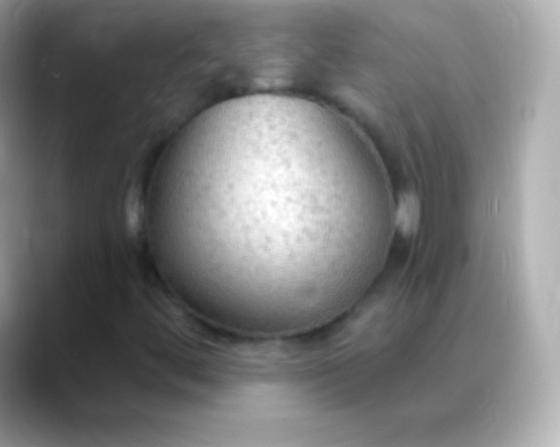 X0000088491444200706051410