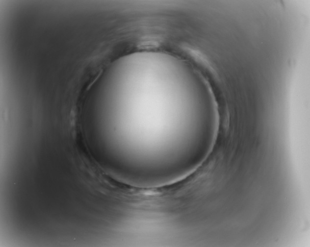 X0000088491445200706051410