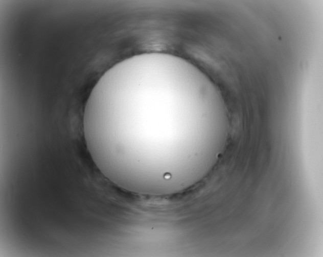 X0000088491446200706051410