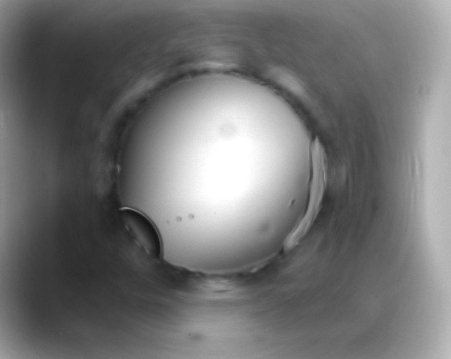 X0000088491448200706051410