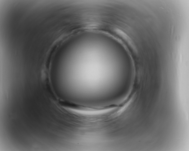 X0000088491449200706051410