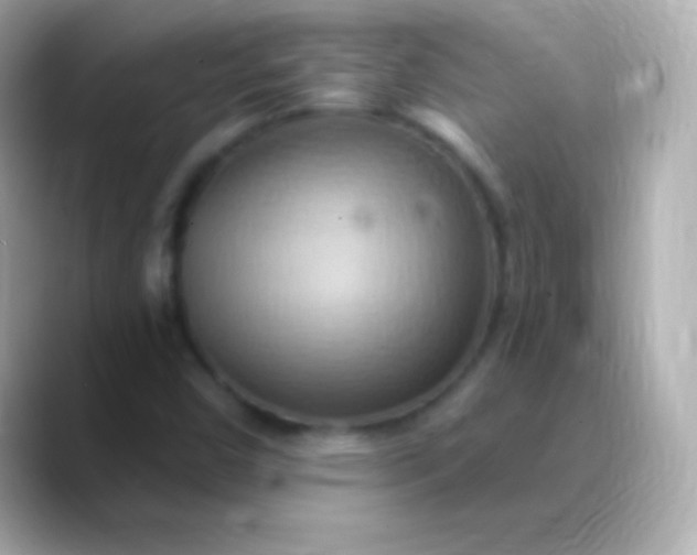 X0000088491450200706051410