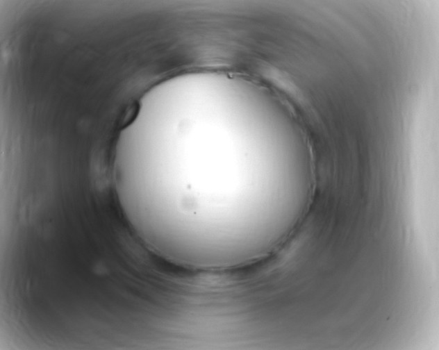 X0000088491451200706051410
