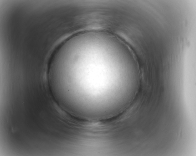 X0000088491452200706051410