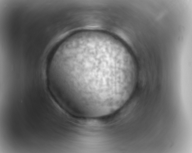 X0000088491456200706051409