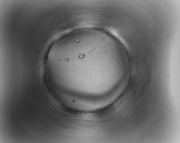 X0000088491459200706051409