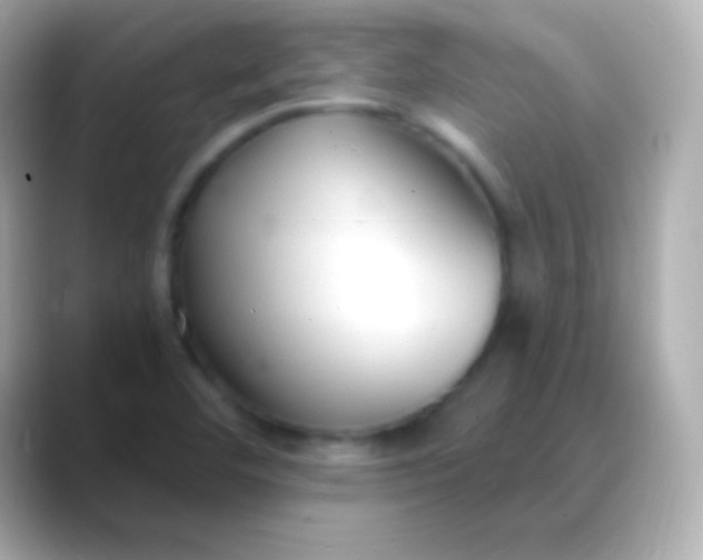 X0000088491460200706051409