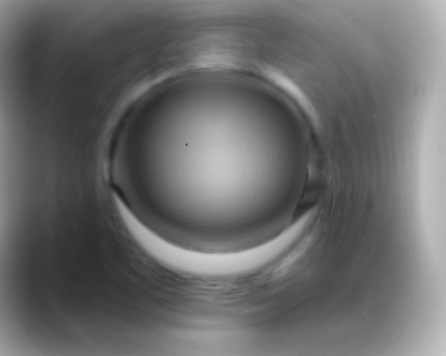 X0000088491461200706051409