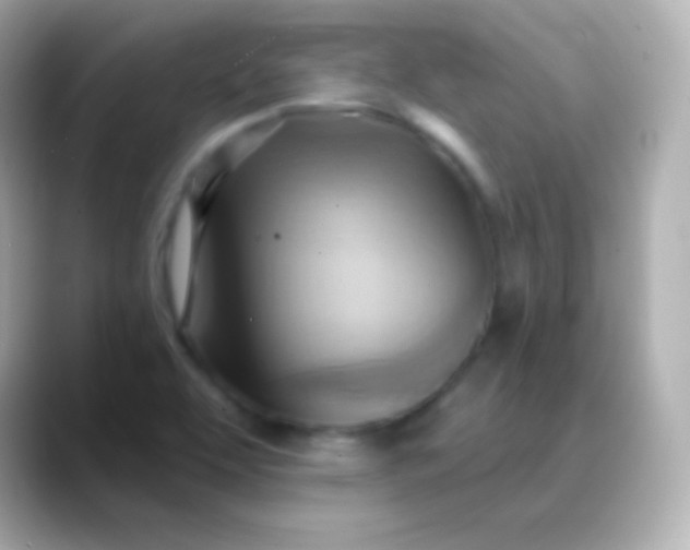X0000088491463200706051409