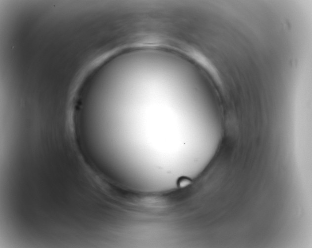 X0000088491464200706051409