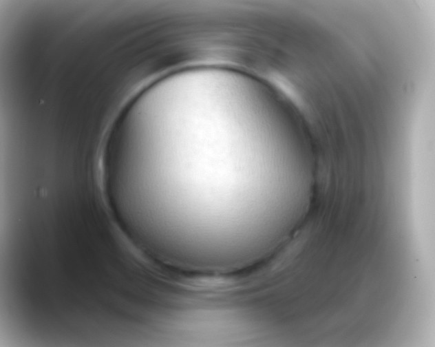 X0000088491468200706051409