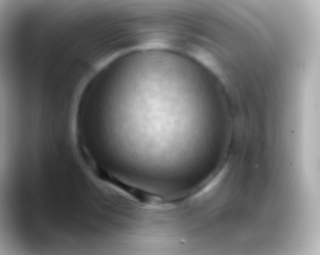 X0000088491469200706051409