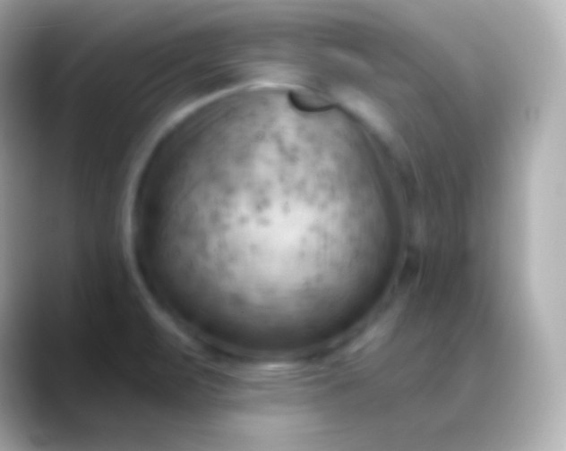 X0000088491471200706051409