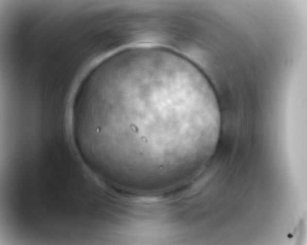 X0000088491472200706051409