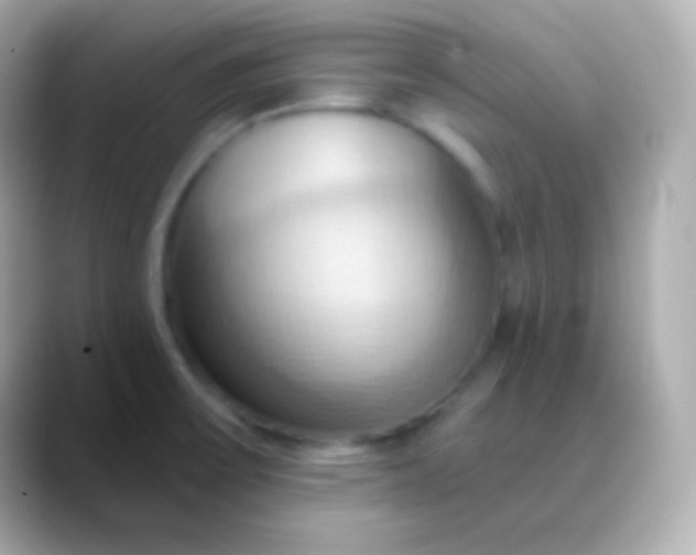 X0000088491475200706051409