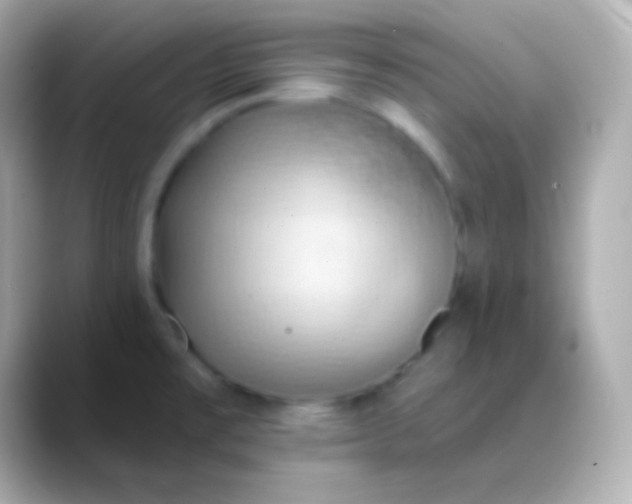 X0000088491477200706051409