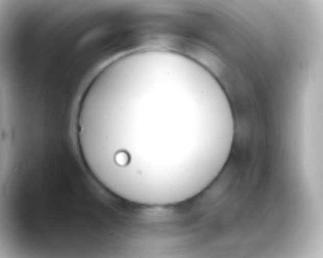 X0000088491478200706051409