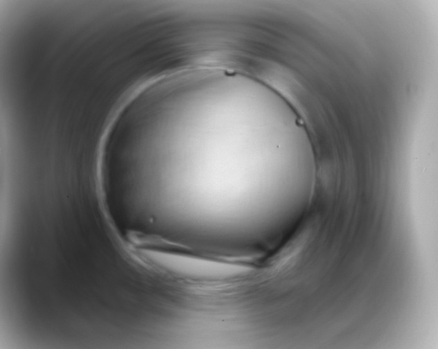X0000088491482200706051409