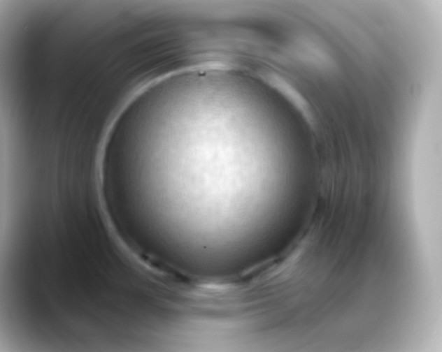 X0000088491483200706051409