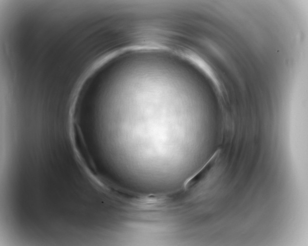 X0000088491485200706051409
