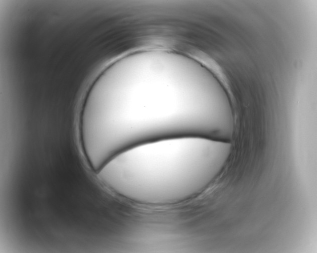 X0000088491488200706051409