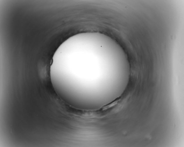 X0000088491490200706051409