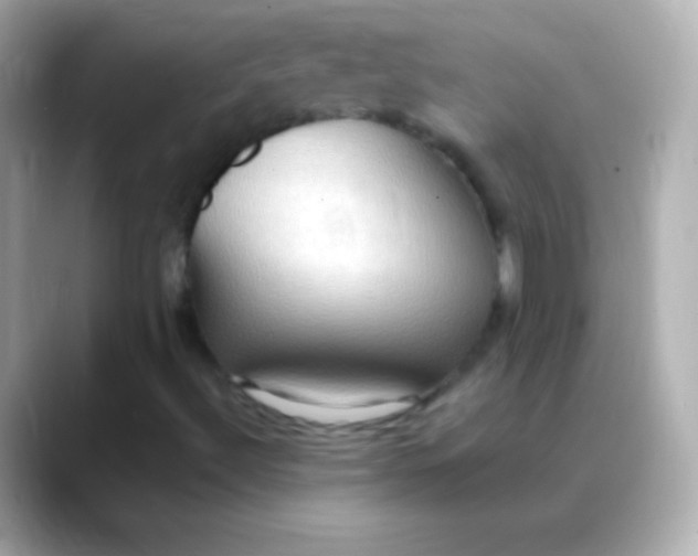 X0000088491492200706051409