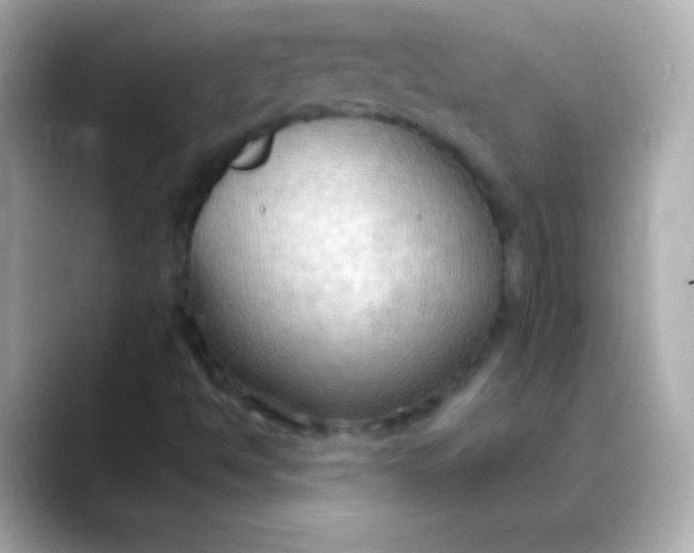 X0000088491494200706051409