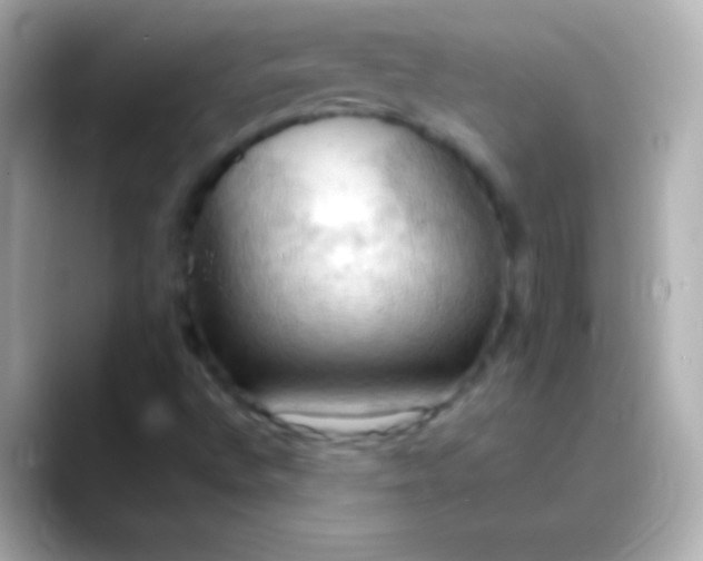 X0000088491496200706051409