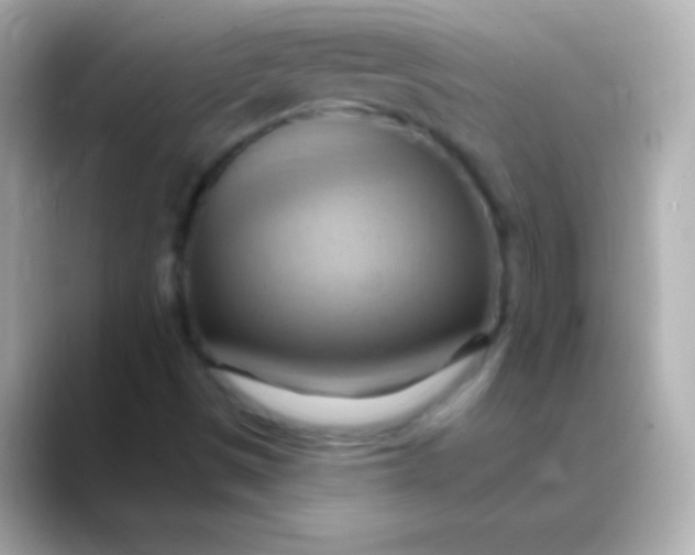 X0000088491497200706051409