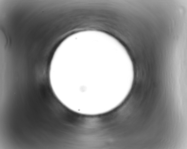 X0000088491498200706051409