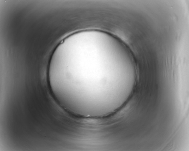X0000088491500200706051409