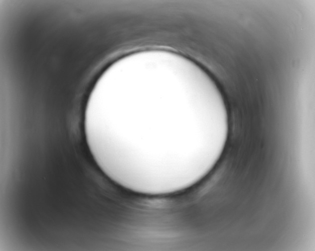 X0000088491502200706051409
