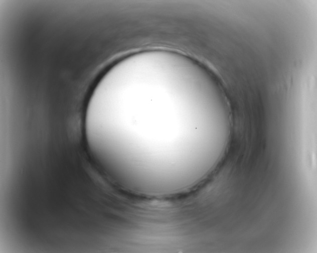 X0000088491503200706051409