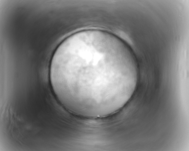 X0000088491504200706051409