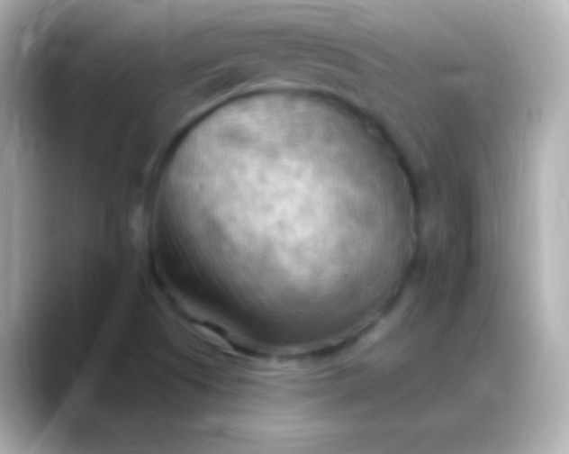 X0000088491505200706051409